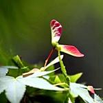 1320145647