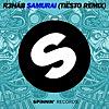 Samurai (Tiesto Remix)