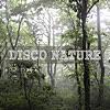 Disco Nature