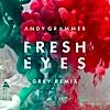 Fresh Eyes (Grey Remix)