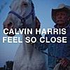 Feel So Close (Radio Edit) - Single