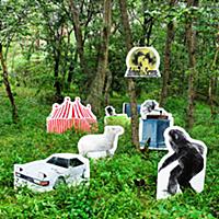 Asshole New World Asshole New World