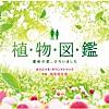 植物図鑑~Main Theme~