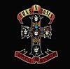 Appetite for Destruction