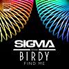 Find Me (feat. Birdy) [Radio Edit]