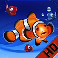 Aquarium live HD: Relaxing Real Coral Reef Scenes with Sound