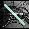 Londonymo - Yellow Magic Orchestra Live In London 15 / 6 08