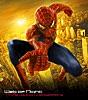 Web of Night Web of Night