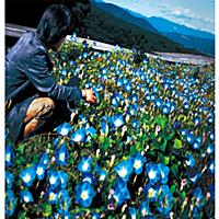 雨上がり 雨上がり