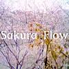 Sakura Flow - Single