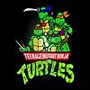 Teenage Mutant Ninja Turtles Theme Song