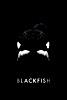 Blackfish (字幕版)