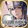 VALKYRIE ANATOMIA(ヴァルキリーアナトミア)