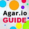 Companion Guide For Agar.io - Skins, Tricks And More!