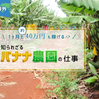 【海外】1ヶ月で約40万円も稼げる!? 知られざる「バナナ農園」の仕事