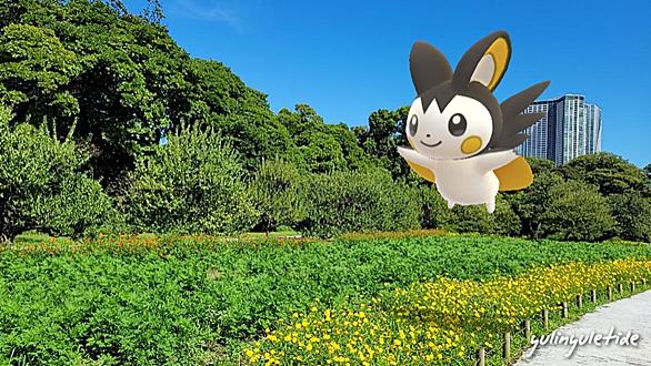 浜離宮恩賜庭園とは 地理の人気 最新記事を集めました はてな