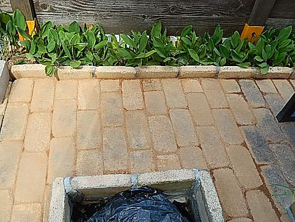 固まる土とは 人気 最新記事を集めました はてな 固まる土とは 人気 最新記事を集めました はてな