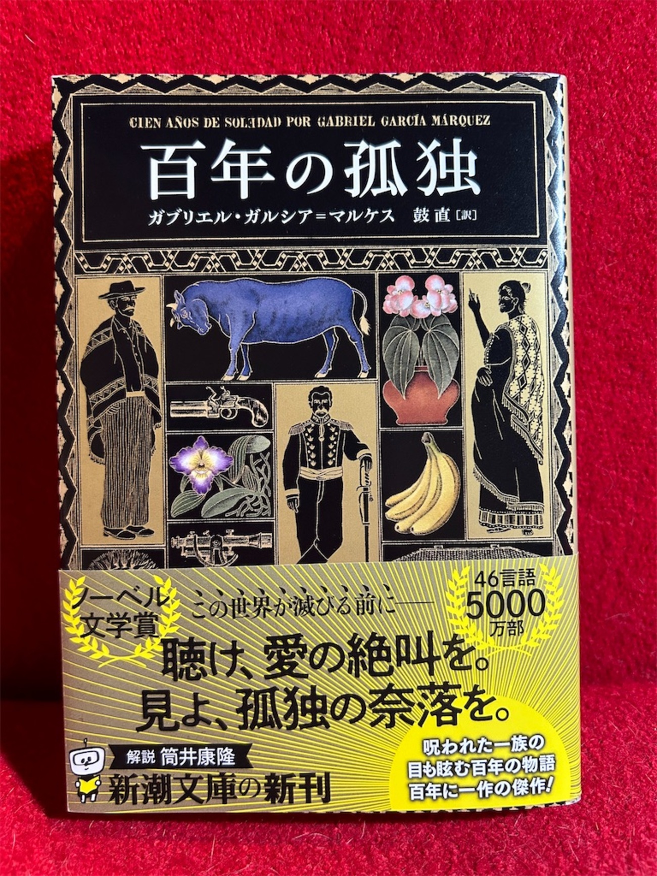 本】ガブリエル・ガルシア＝マルケス『百年の孤独』～ある一族の愛と 
