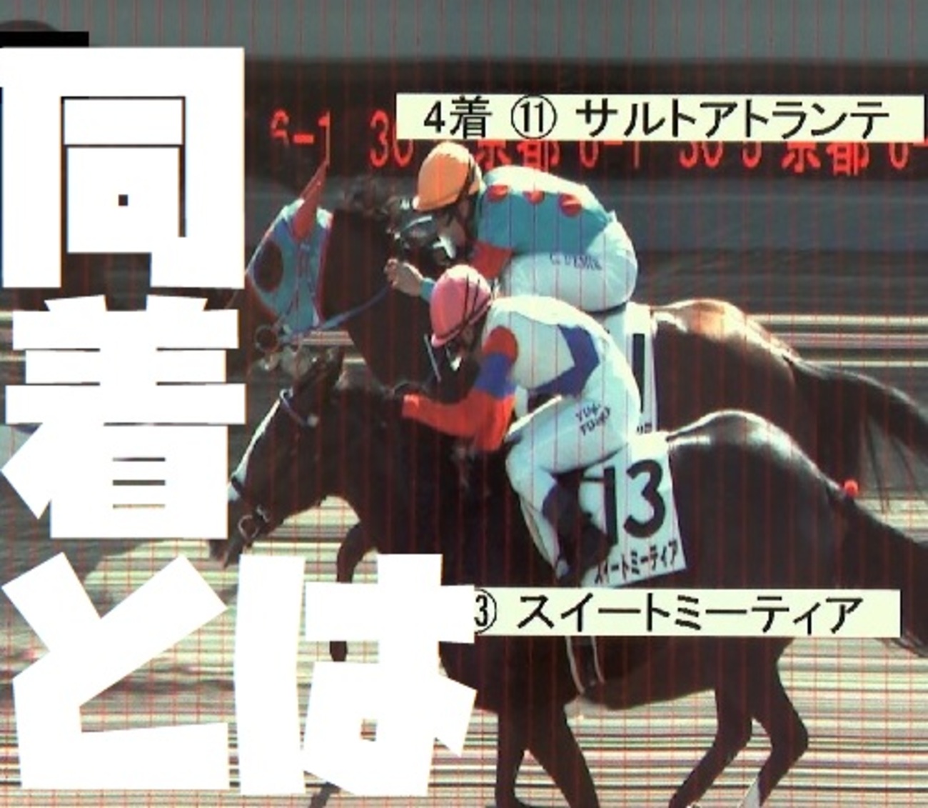 写真判定の同着の基準つくりませんか？【通常は新馬戦ブログ】 - 『新 