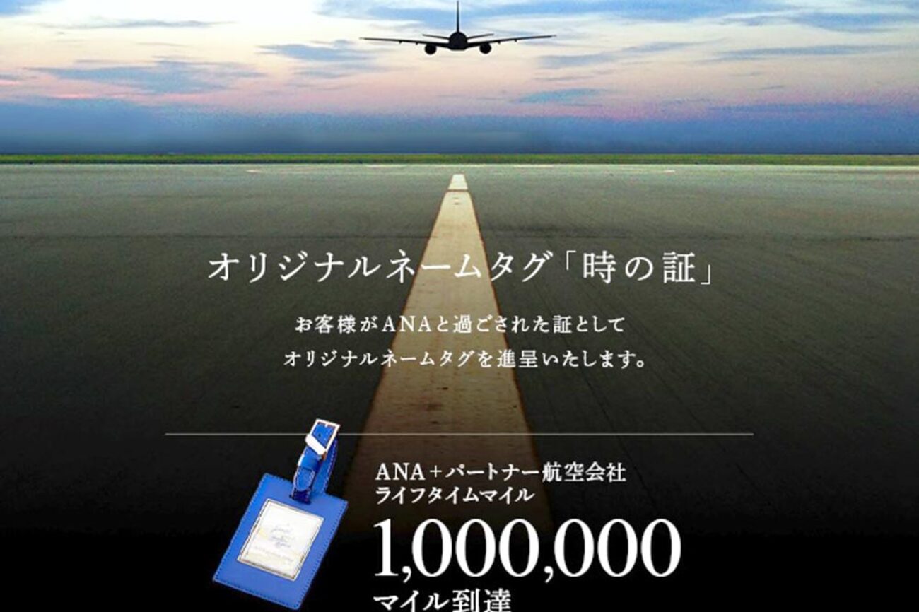 DL デルタ航空　2ミリオンマイラー　荷札1枚。2枚ご希望の方はお申し出ください DL デルタ航空 2ミリオンマイラー 荷札 ふたつ（スカイマイル
