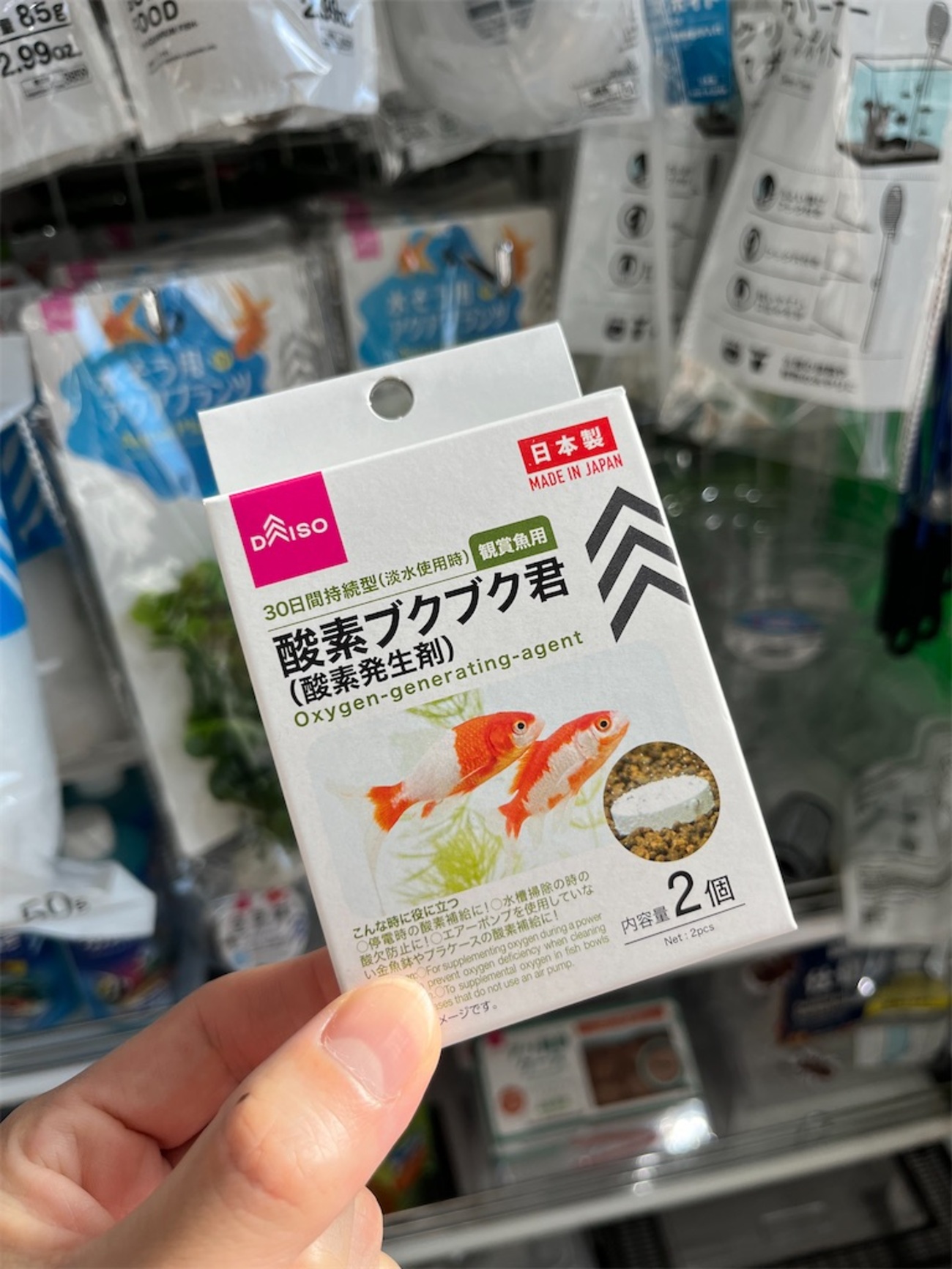 らんちゅう メダカ 酸素ボンベ