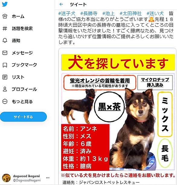 ミックス犬とは 動植物の人気 最新記事を集めました はてな ミックス犬とは 動植物の人気 最新記事を集めました はてな