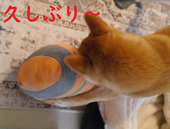 ブンブンとは 音楽の人気 最新記事を集めました はてな