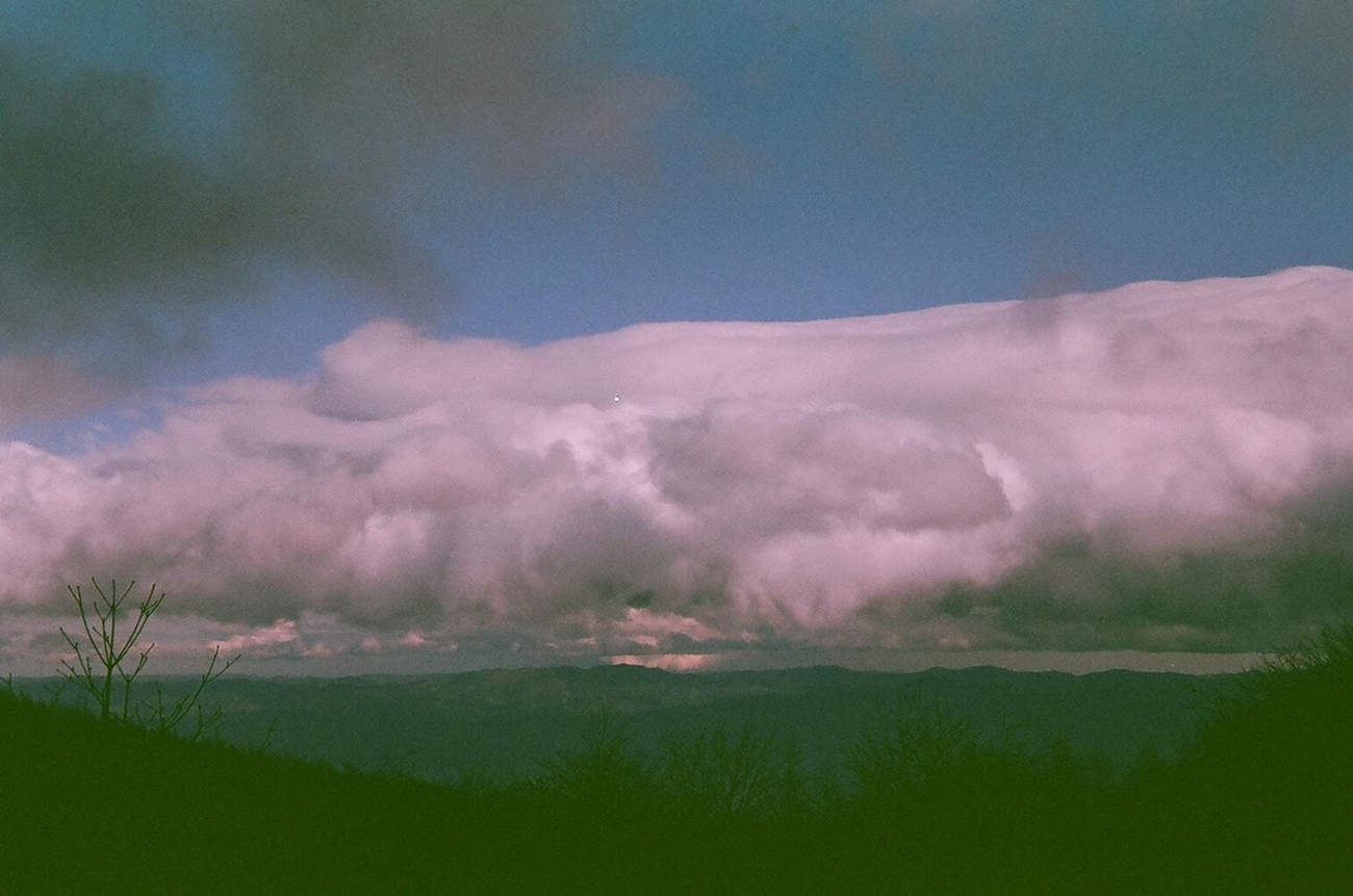 富士フイルムPROVIA 400X ねだら 36RXP135 20本 期限切れフィルム
