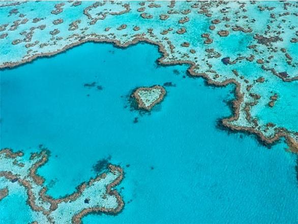 グレート バリア リーフとは 地理の人気 最新記事を集めました はてな