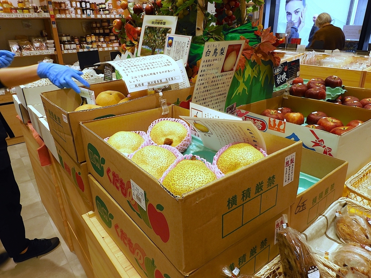 2025・10・27 慈梨と白鳥梨 - 今日のころころこころ