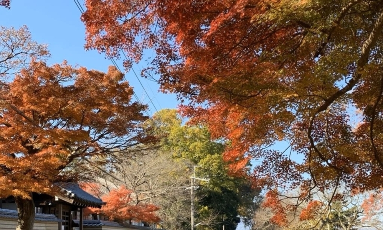 家族旅行 IN 京都 奈良 続き - T.H PICS