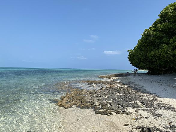 カイジ浜とは 地理の人気 最新記事を集めました はてな