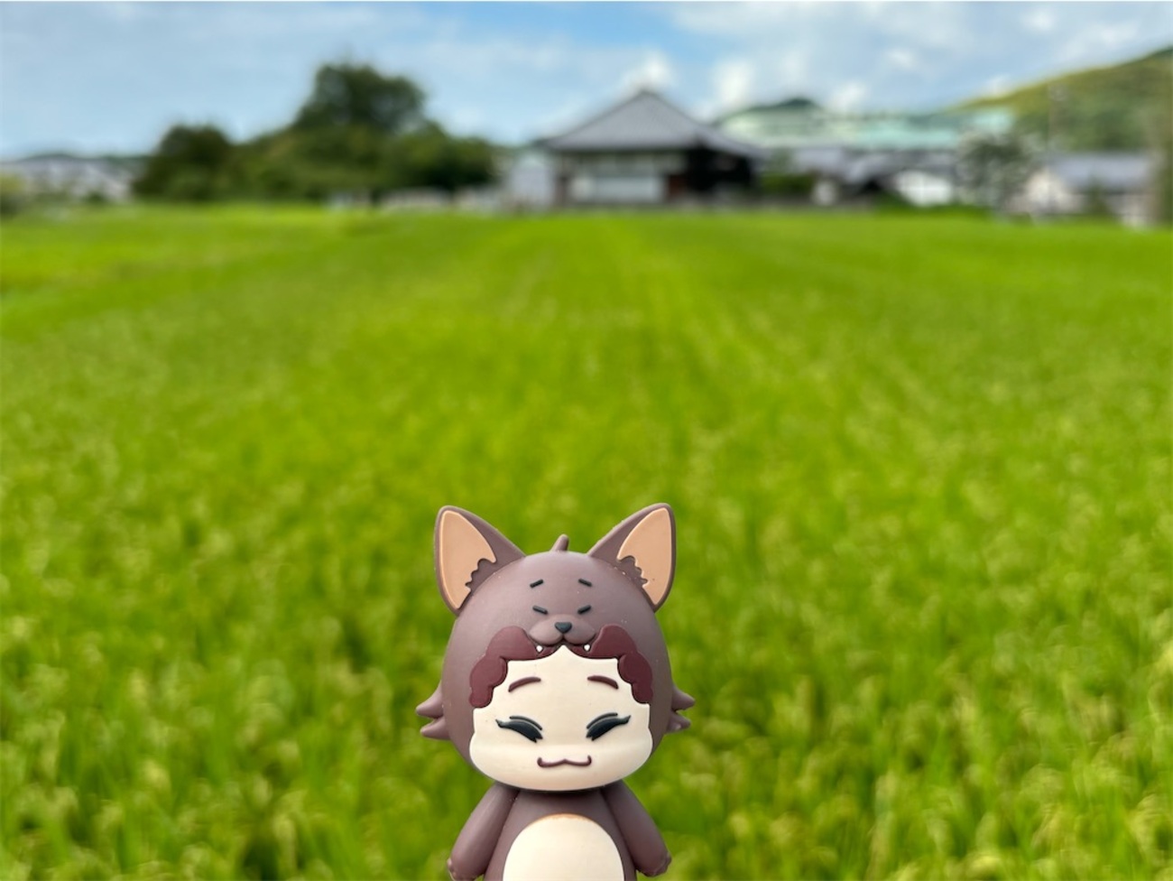 奈良 石上神宮から新薬師寺、なら歴史芸術文化村へ - 熊猫トラベル