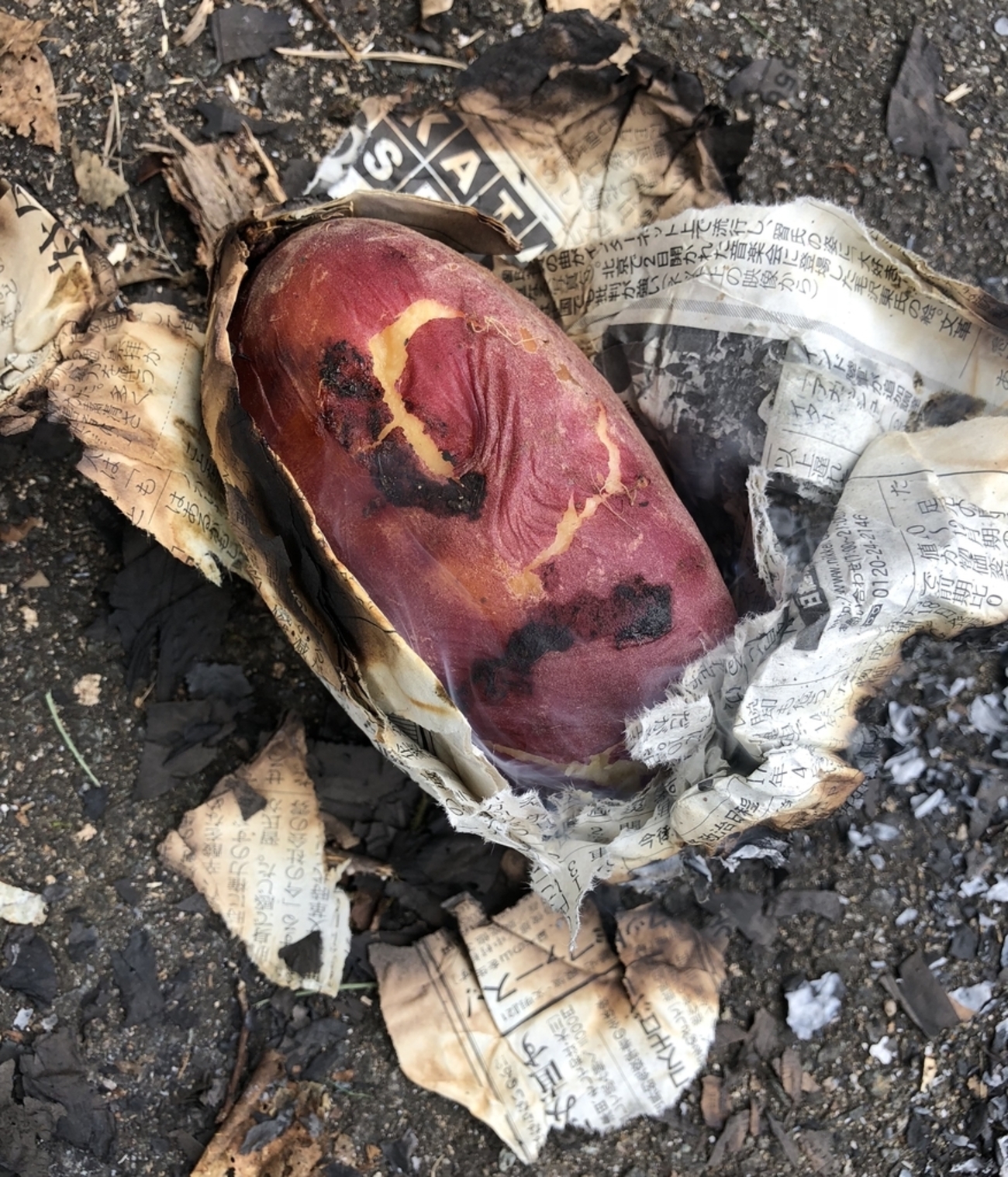 backend=imagemagick;version=1;