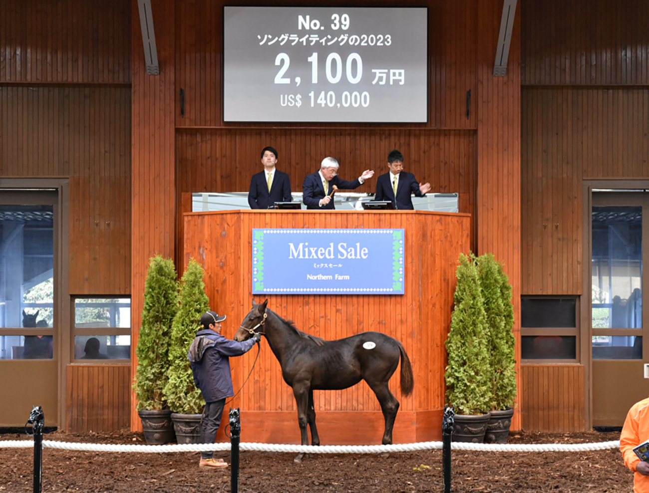 JRA競走に勝ったセール出身馬紹介(2025/12/27-28､ロブチェンが