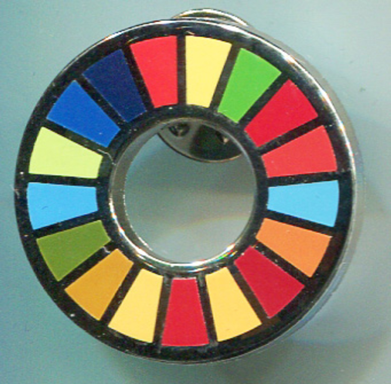 国連 SDGsバッジ - 徽章はバッジにしてピン