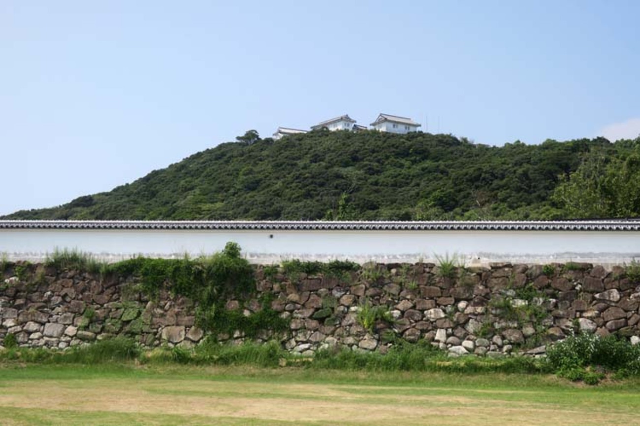 富岡城の歴史 - 縄張りマニアの城巡り