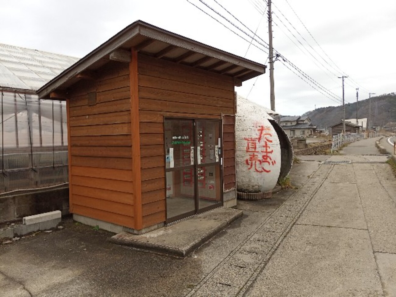 にたまご。 たまこ】 にたまご たまご SUPER73-ZX LE | Speedway