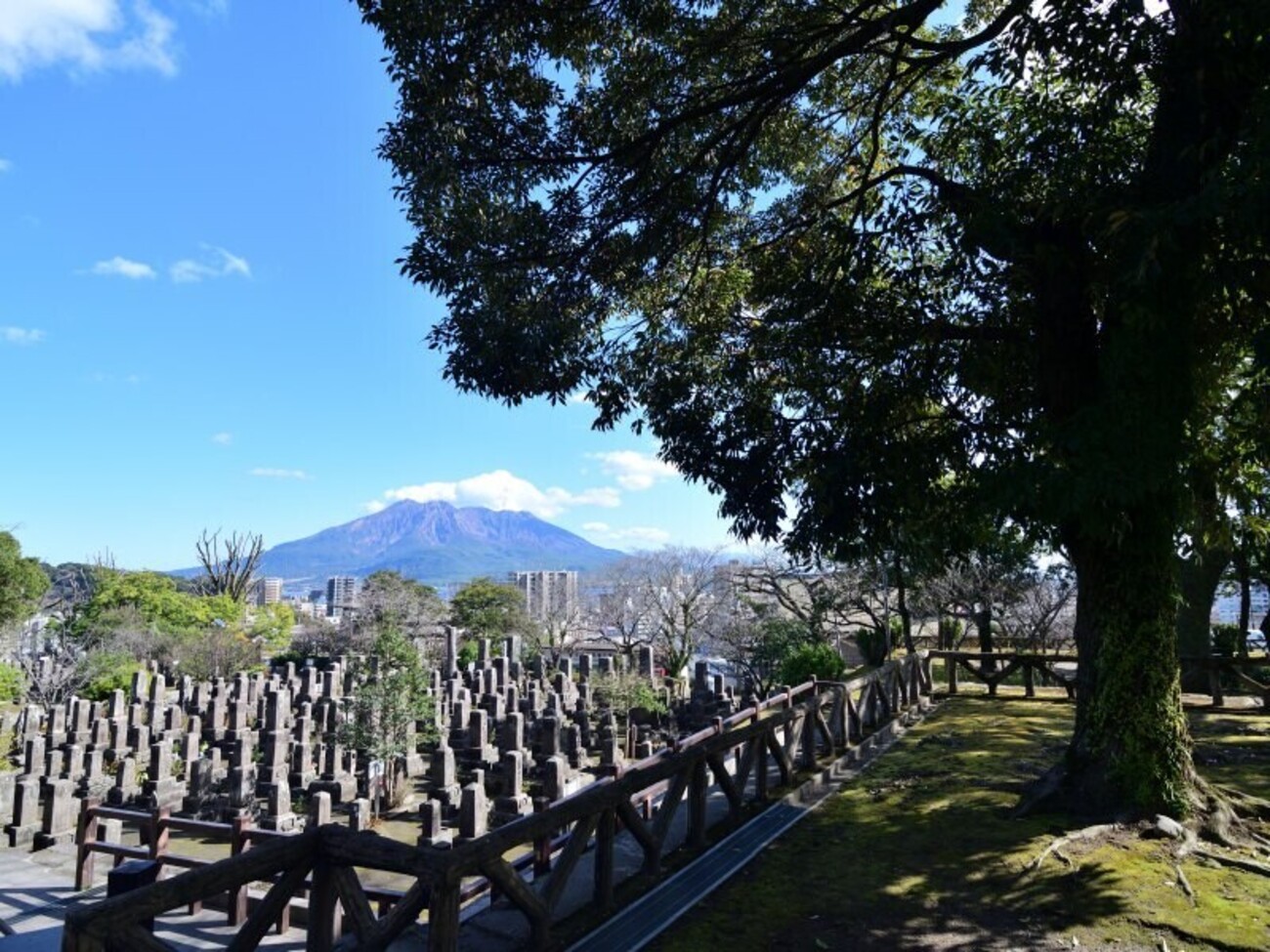 優美堂発行　南州翁之墓　南州翁居宅　鹿児島浄光明寺南州翁木像　6枚セット IMG_1618-300x200.jpg