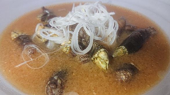 カメノテとは 動植物の人気 最新記事を集めました はてな カメノテとは 動植物の人気 最新記事を集めました はてな