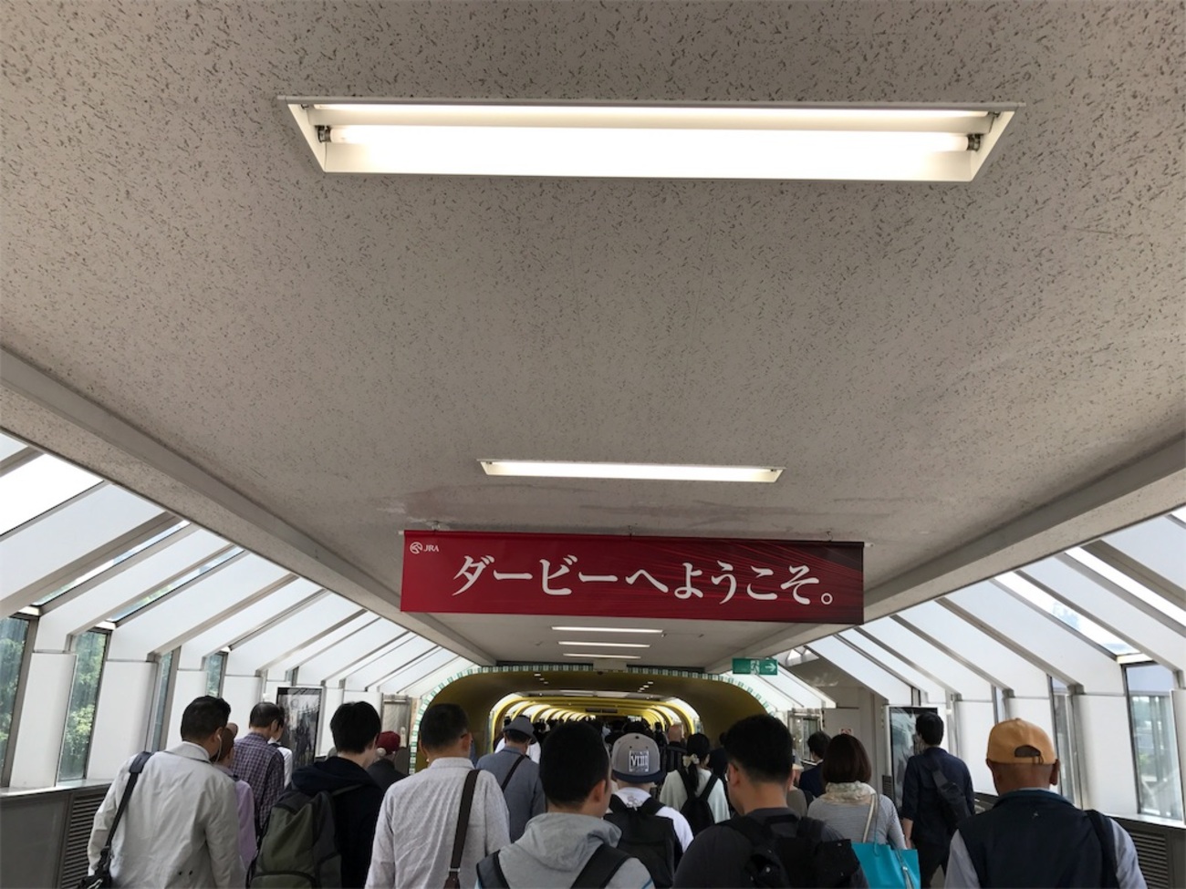 第84回日本ダービー観戦レポ 1 入場～午前中のレース～昼休み・出場 