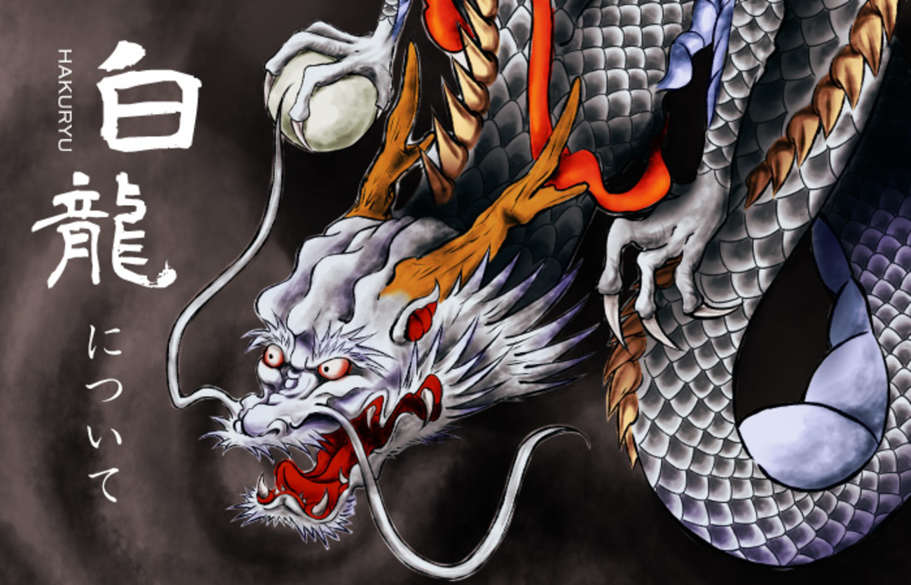 白龍】についての全て｜白龍は最速の龍！神話や伝説・風水や 