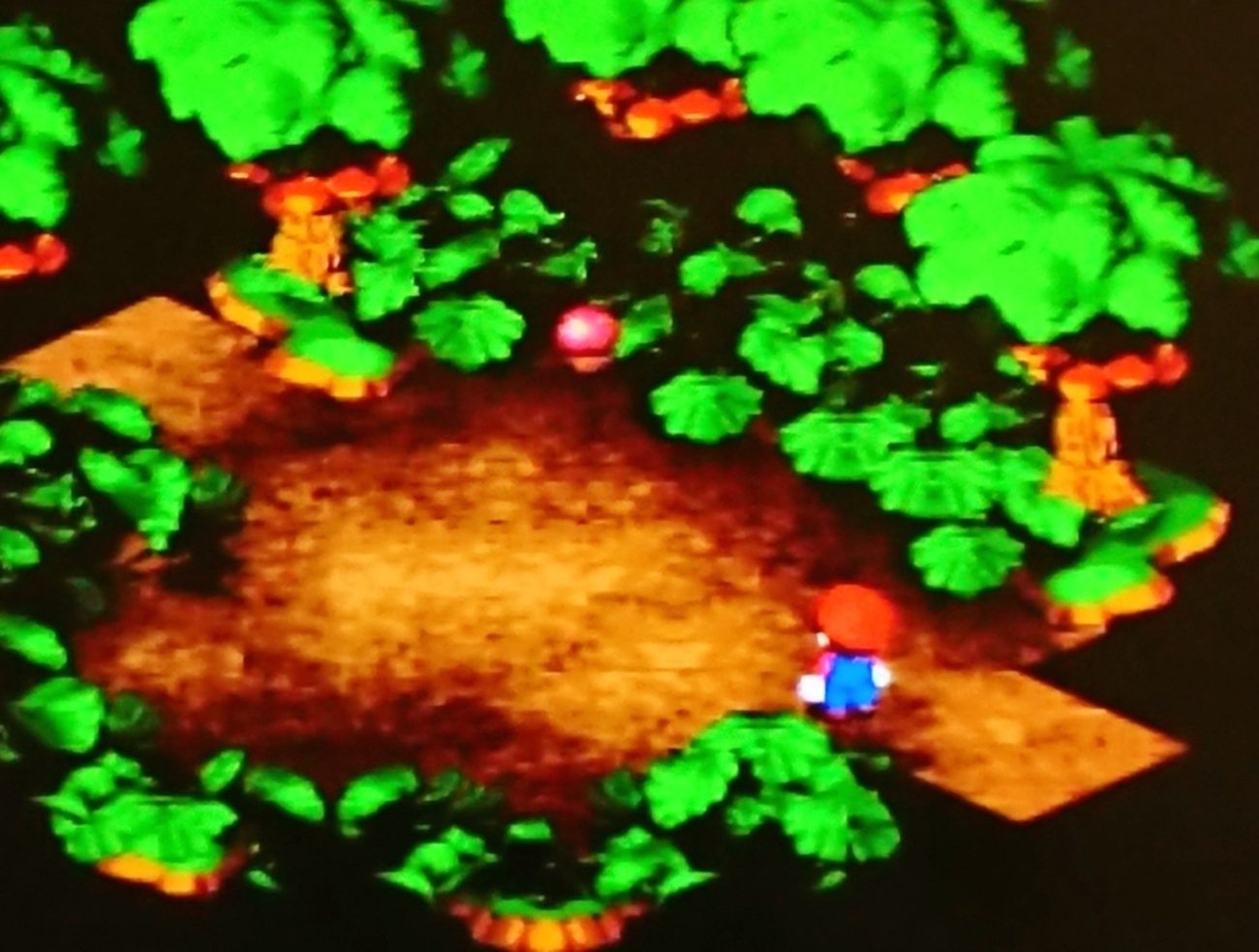 【2箱はなちゃん】森上白桃 4kg1箱＋2.5kg1箱 マリオRPGリメイク】ハナチャンの森の進み方！隠し宝箱の場所も