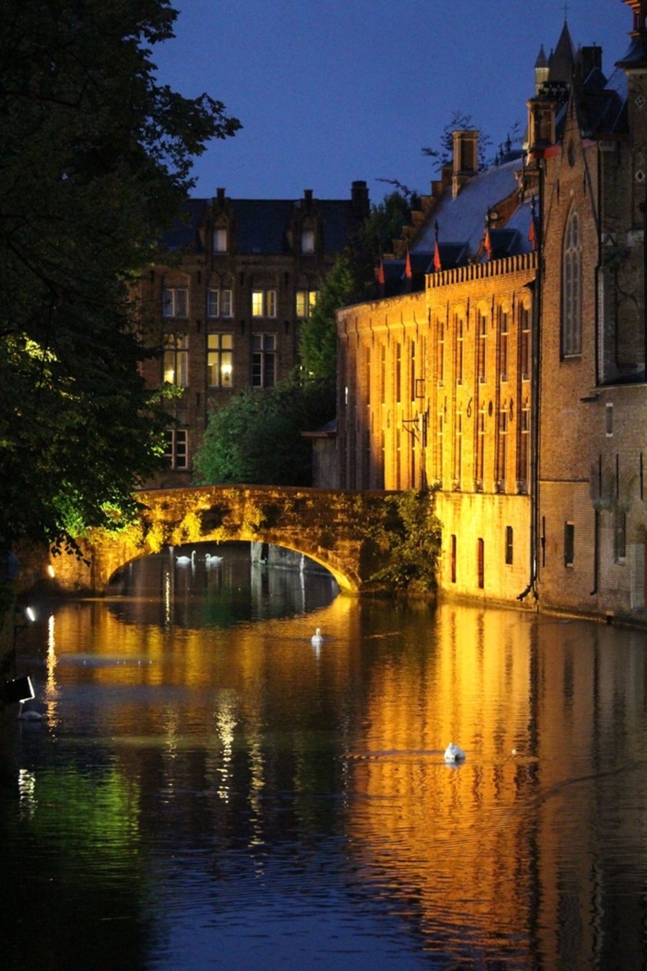 ブルージュは今日も雨だった。運河クルーズとサイクリング【ベルギーの