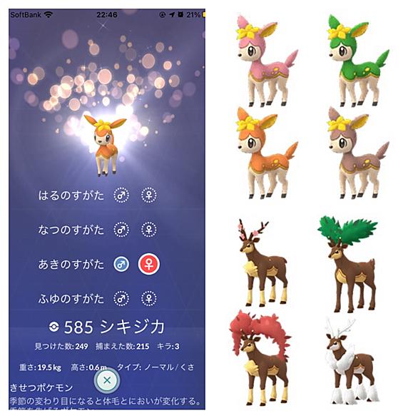 上 シキジカ 進化 ポケモンの壁紙