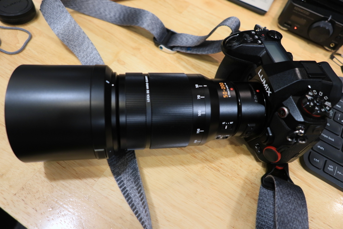 とりとりとり（LEICA DG VARIO-ELMARIT 50-200mm編） - あかりぱぱの 