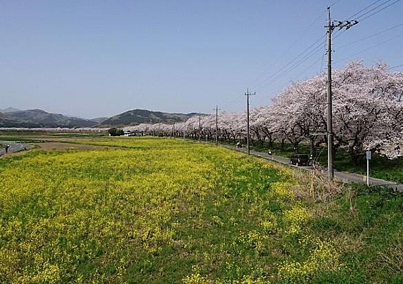 嵐山町とは 地理の人気 最新記事を集めました はてな 嵐山町とは 地理の人気 最新記事を集めました はてな