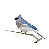 BirdNET