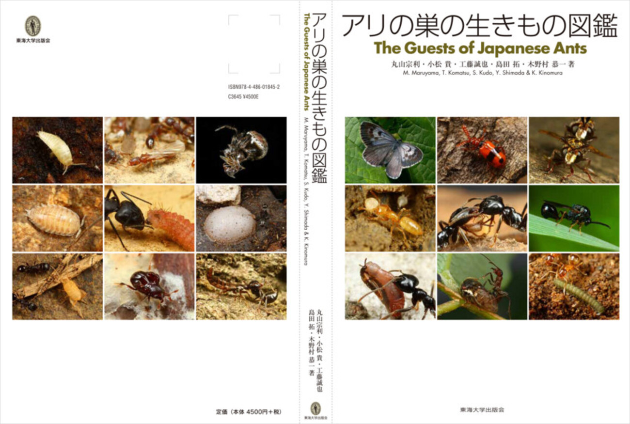 アリの巣の生きもの図鑑 - 断虫亭日乗