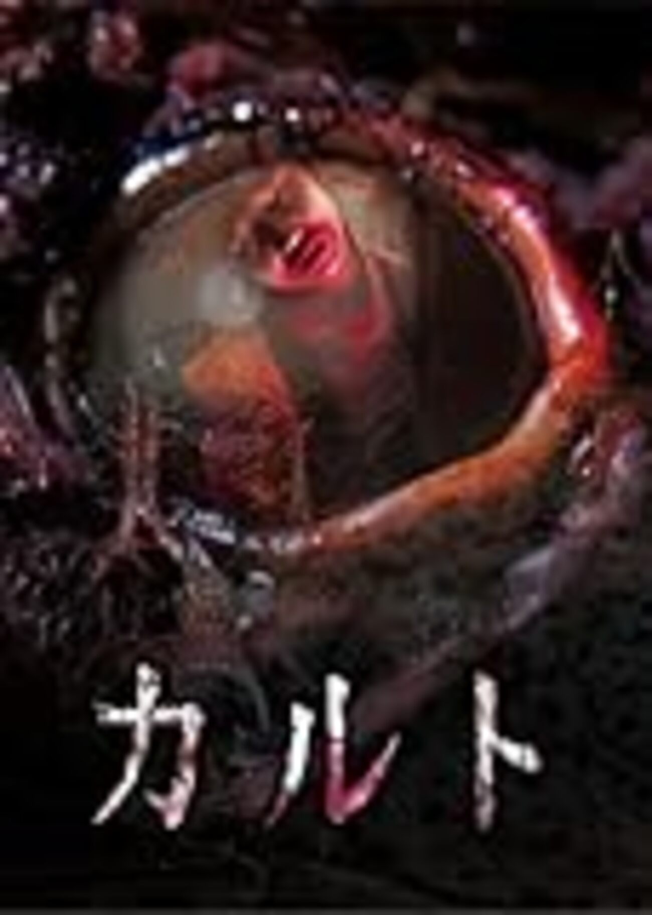 白石晃士『カルト』『オカルト』 - 魔王14歳の幸福な電波